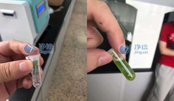 1638509069531849.jpg 1.jpg