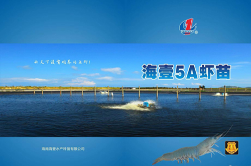 1641883636399217.jpg 16.jpg